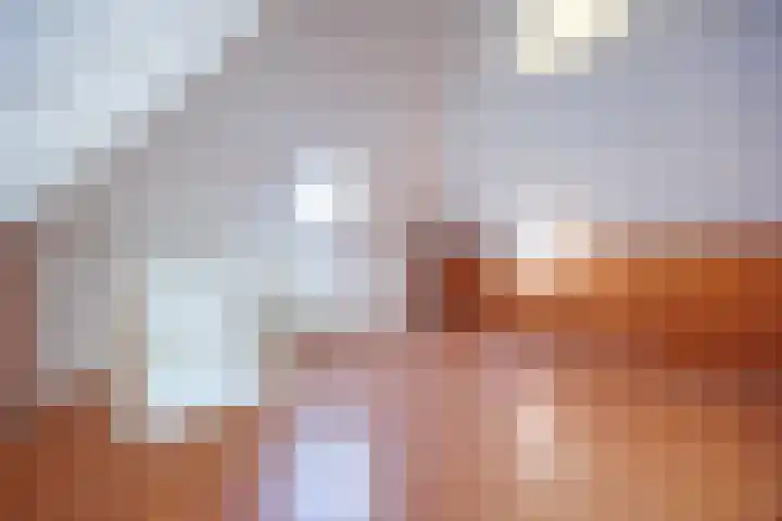 Laan van Kans 33 Den Haag thumbnail 34