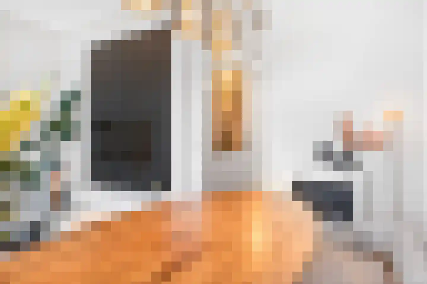 Laan van Kernhem 189 Ede thumbnail 11