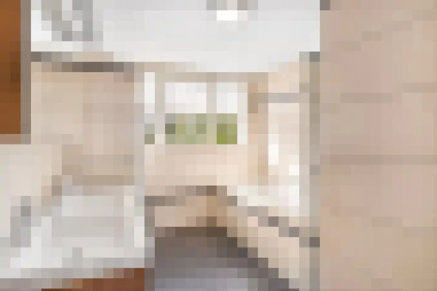 Laan van Kernhem 189 Ede thumbnail 16