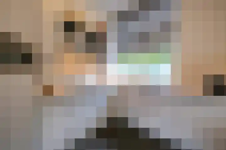 Laan van Kernhem 197 Ede thumbnail 10