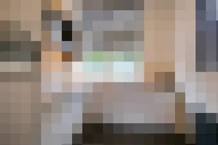 Laan van Kernhem 197 Ede thumbnail 11
