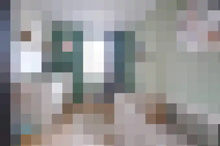 Laan van Kernhem 197 Ede thumbnail 17