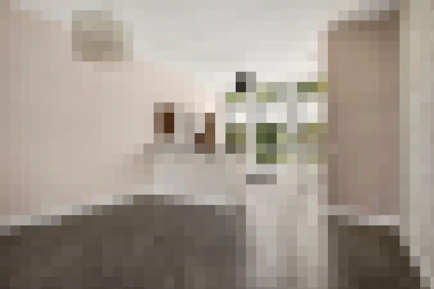 Laan van Kernhem 211 Ede thumbnail 15