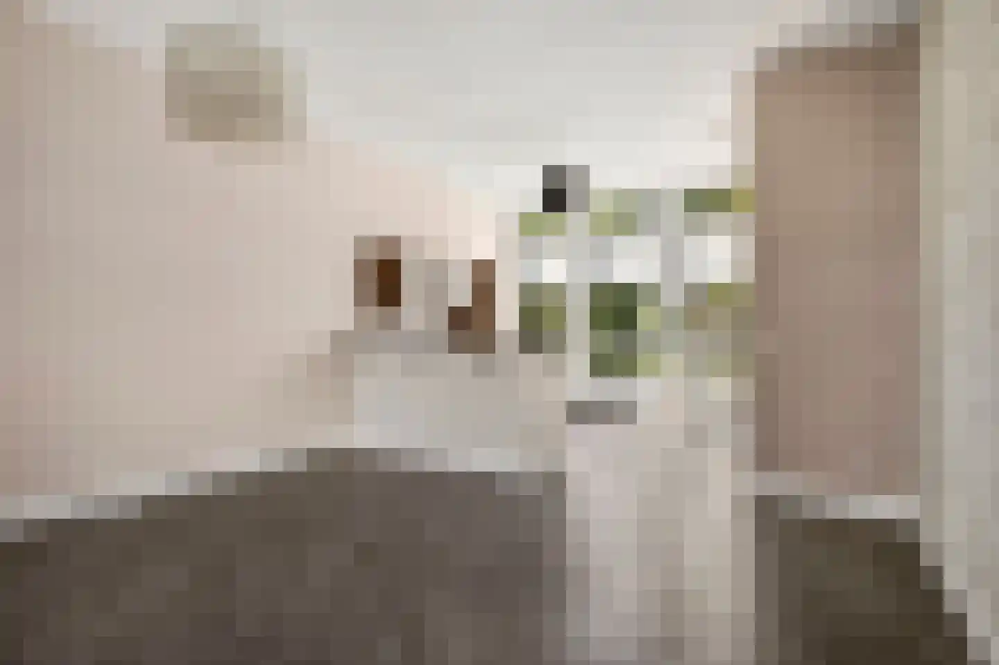 Laan van Kernhem 211 Ede thumbnail 16