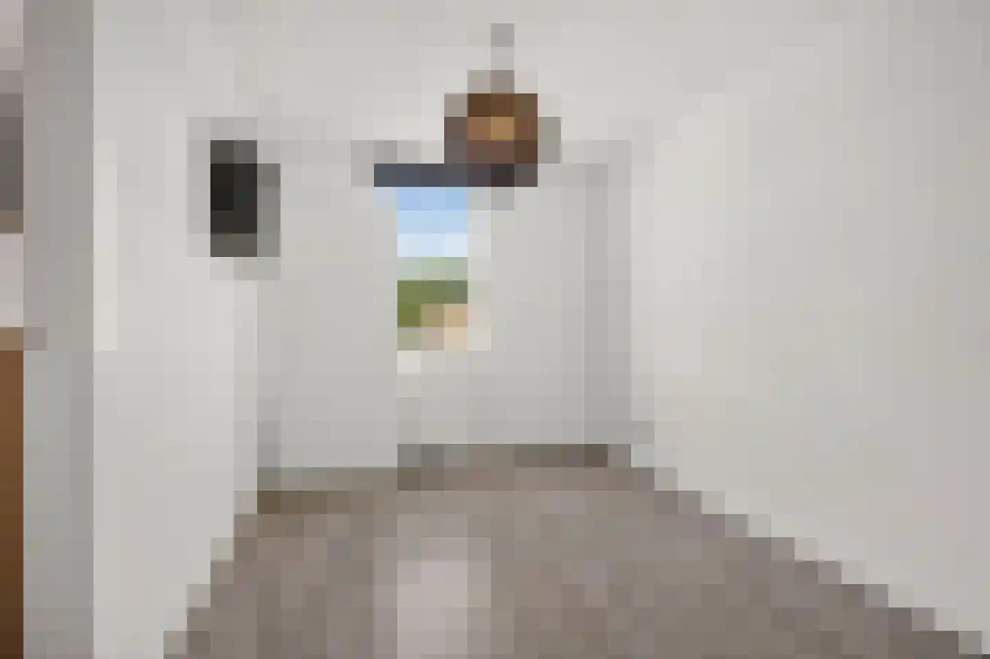 Laan van Kernhem 211 Ede thumbnail 26