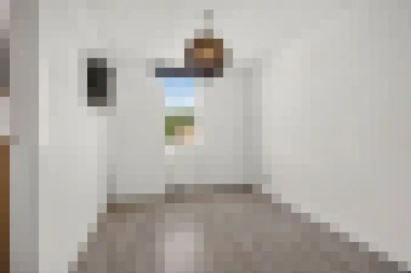 Laan van Kernhem 211 Ede thumbnail 27