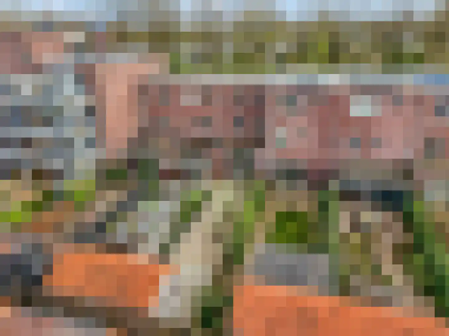Laan van Kernhem 227 Ede thumbnail 29