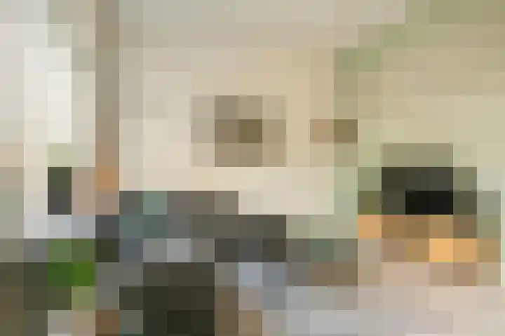 Laan van Kernhem 37 Ede thumbnail 12