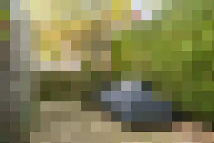 Laan van Kernhem 37 Ede thumbnail 24