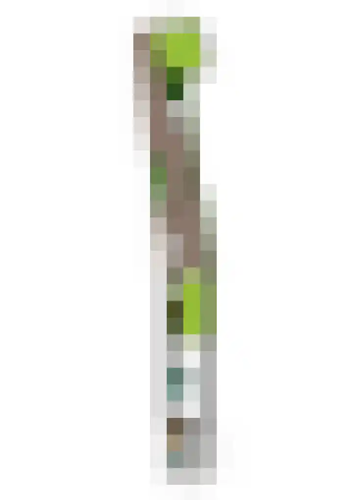 Laan van Kernhem 37 Ede thumbnail 33