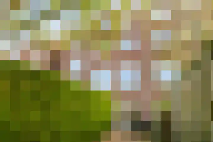 Laan van Kernhem 37 Ede thumbnail 4