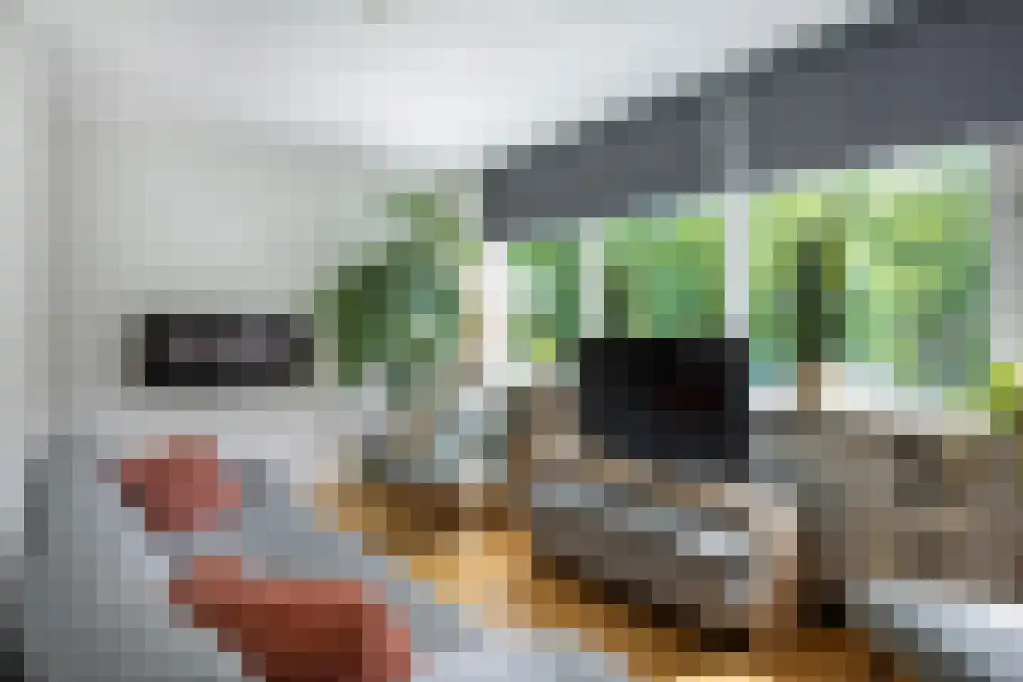 Laan van Kernhem 65 Ede thumbnail 22