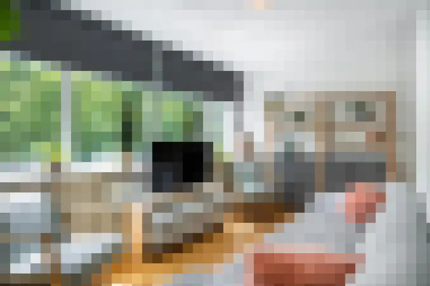 Laan van Kernhem 65 Ede thumbnail 23
