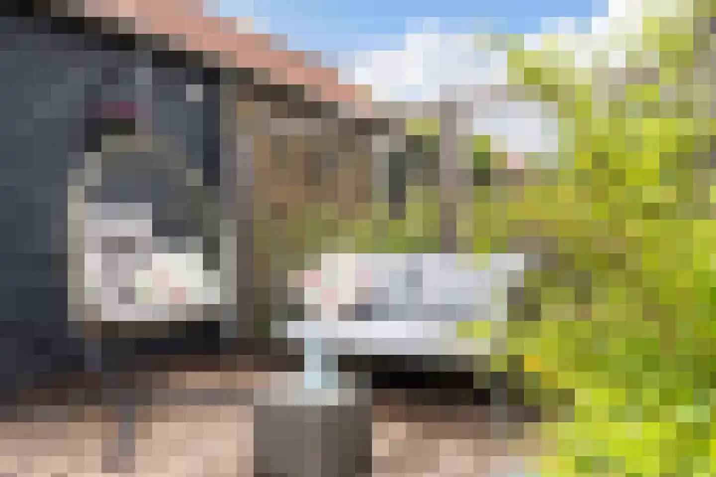 Laan van Kernhem 65 Ede thumbnail 31