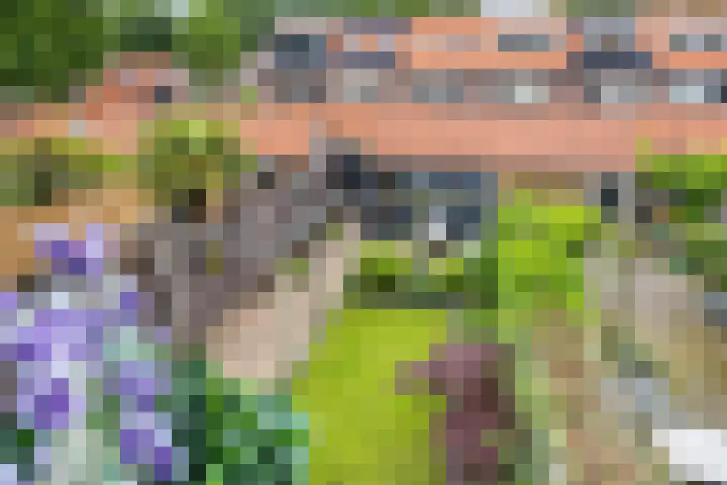 Laan van Kernhem 65 Ede thumbnail 33