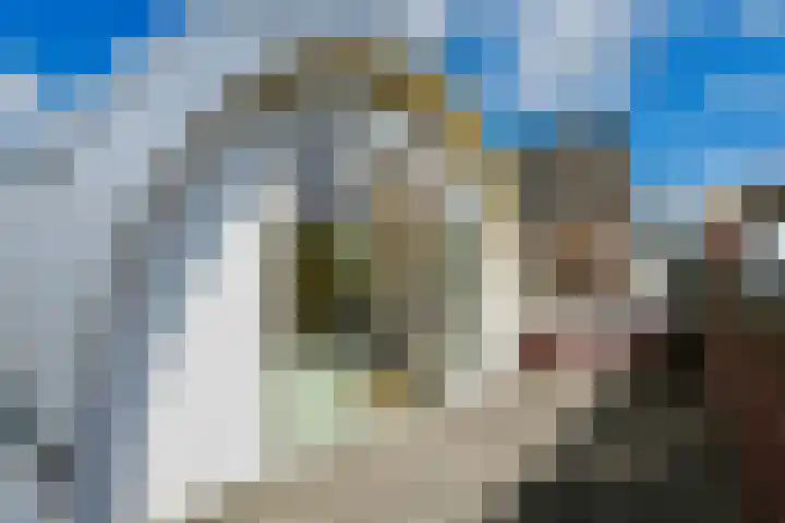 Laan van Kernhem 93 Ede thumbnail 20
