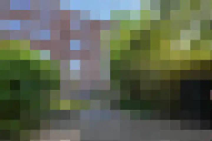 Laan van Kernhem 93 Ede thumbnail 27