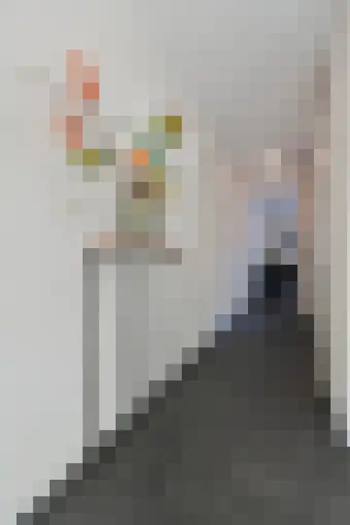 Laan van Kernhem 93 Ede thumbnail 6
