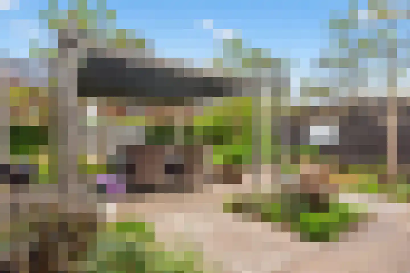 Laan van Kerschoten 98 Apeldoorn thumbnail 31
