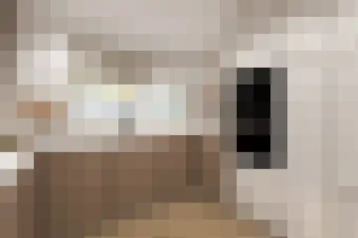 Laan van Keulen 60 Alkmaar thumbnail 16