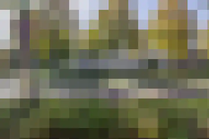 Laan van Keulen 60 Alkmaar thumbnail 36