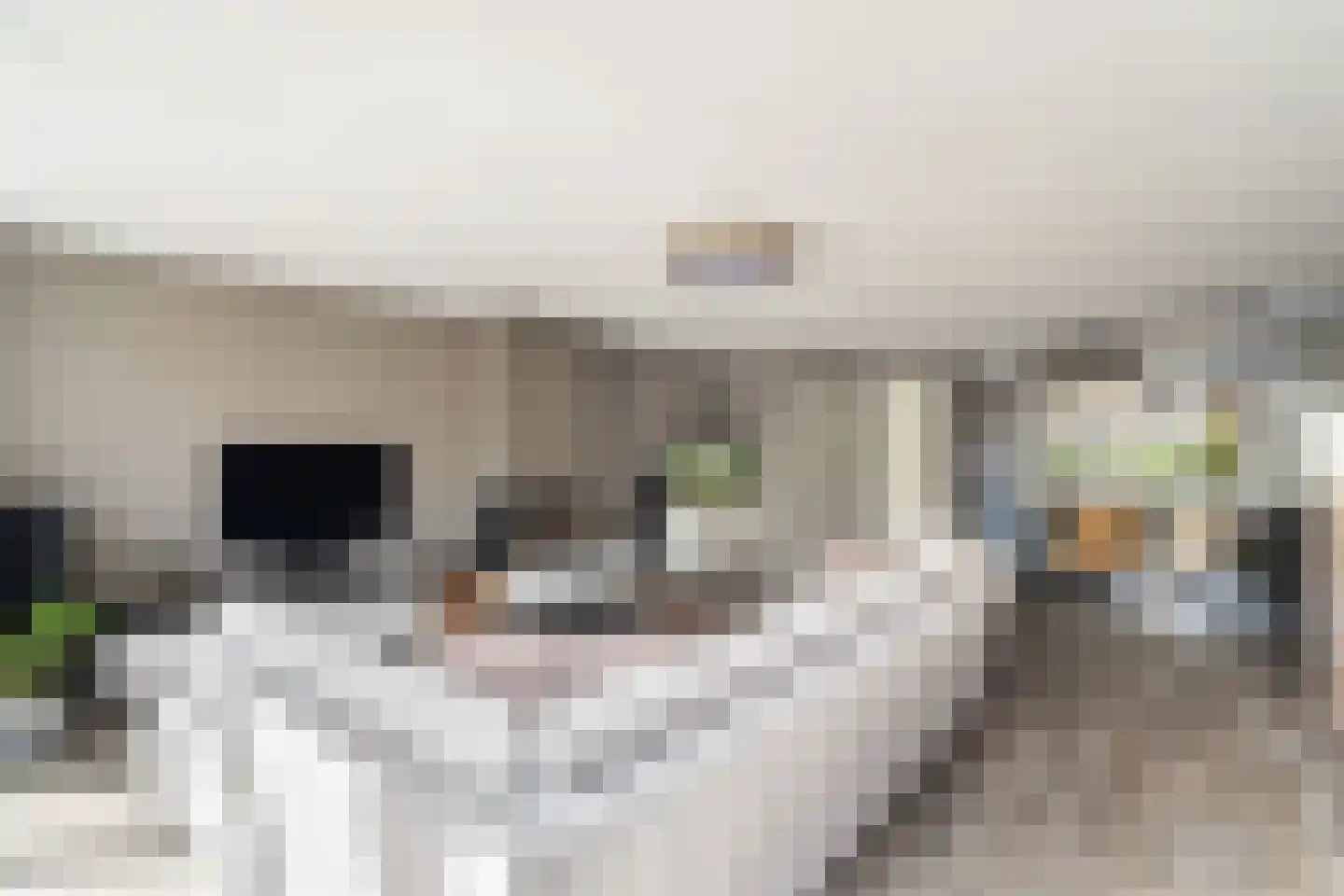 Laan van Klapwijk 15 Pijnacker thumbnail 18