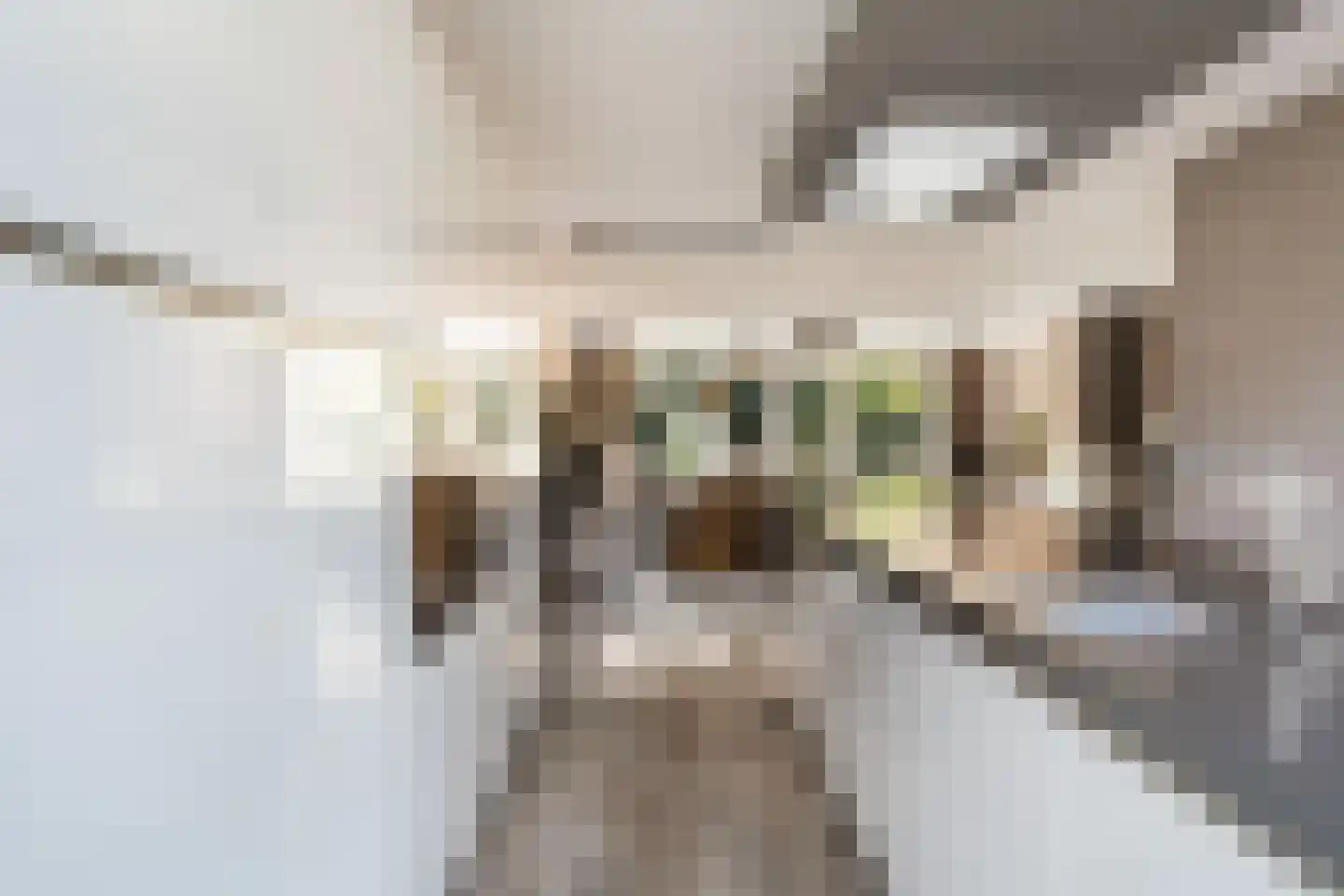 Laan van Klapwijk 15 Pijnacker thumbnail 20