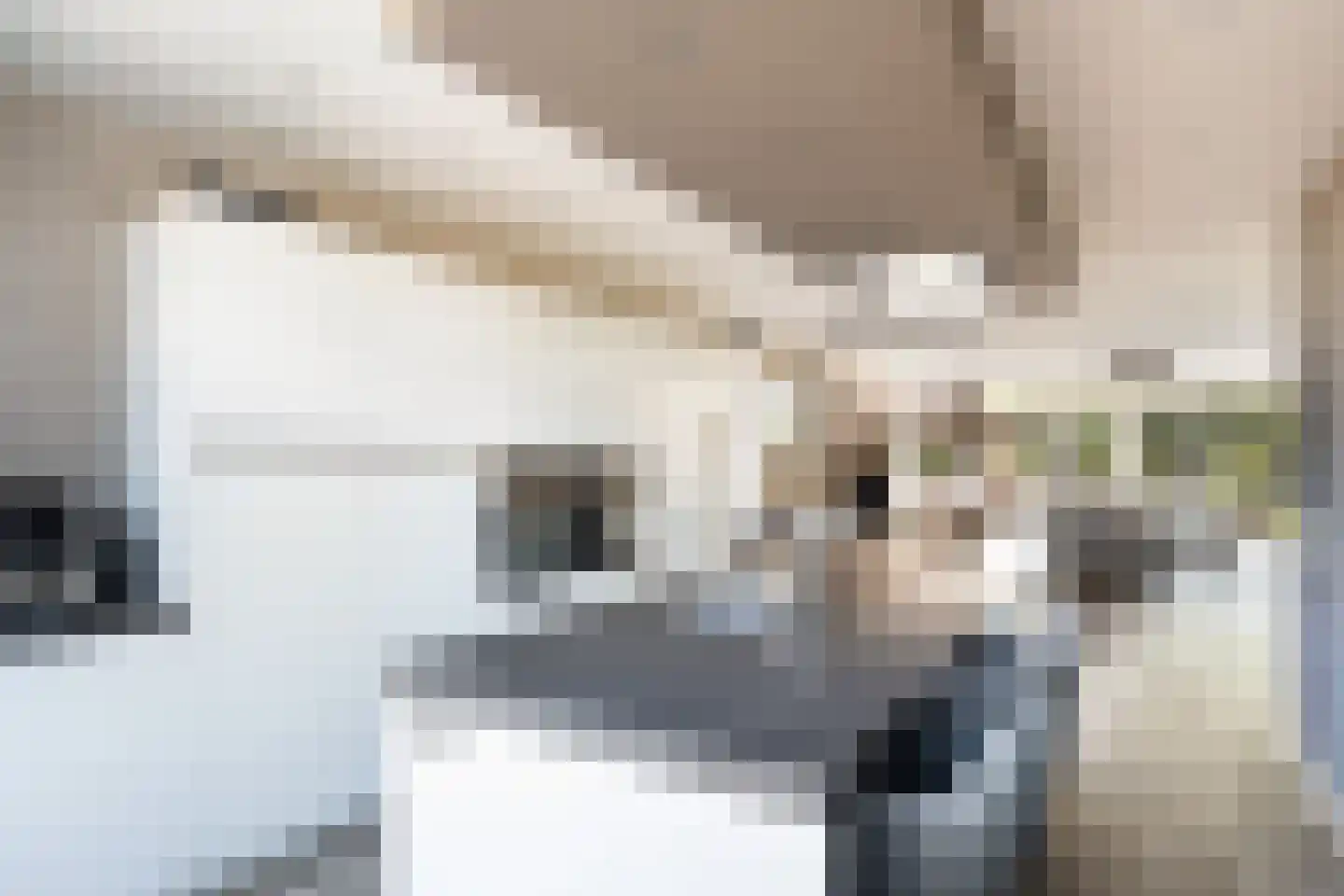 Laan van Klapwijk 15 Pijnacker thumbnail 21