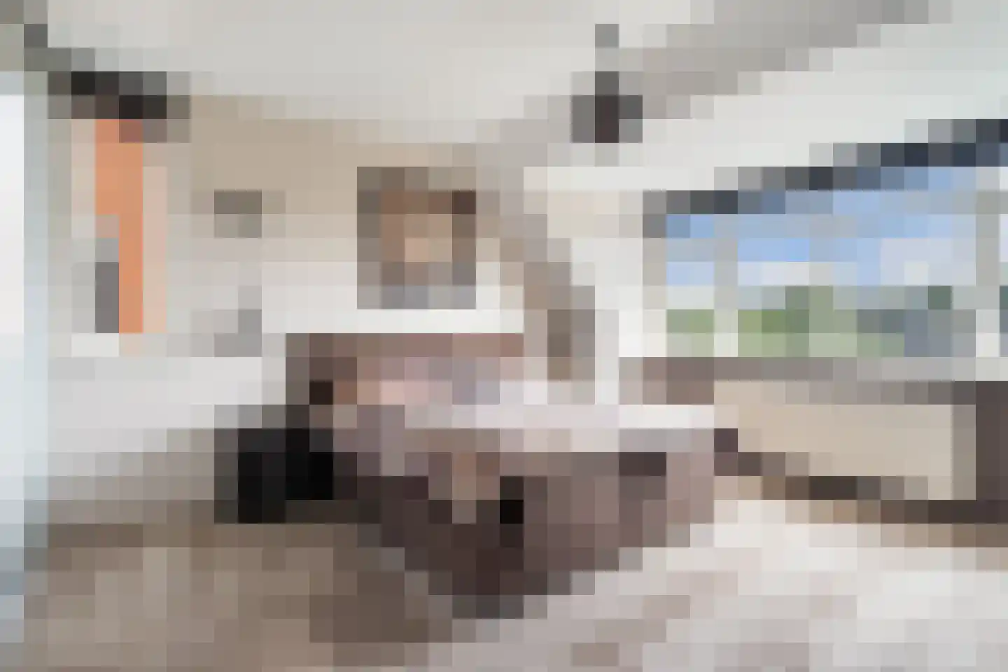 Laan van Klapwijk 15 Pijnacker thumbnail 39