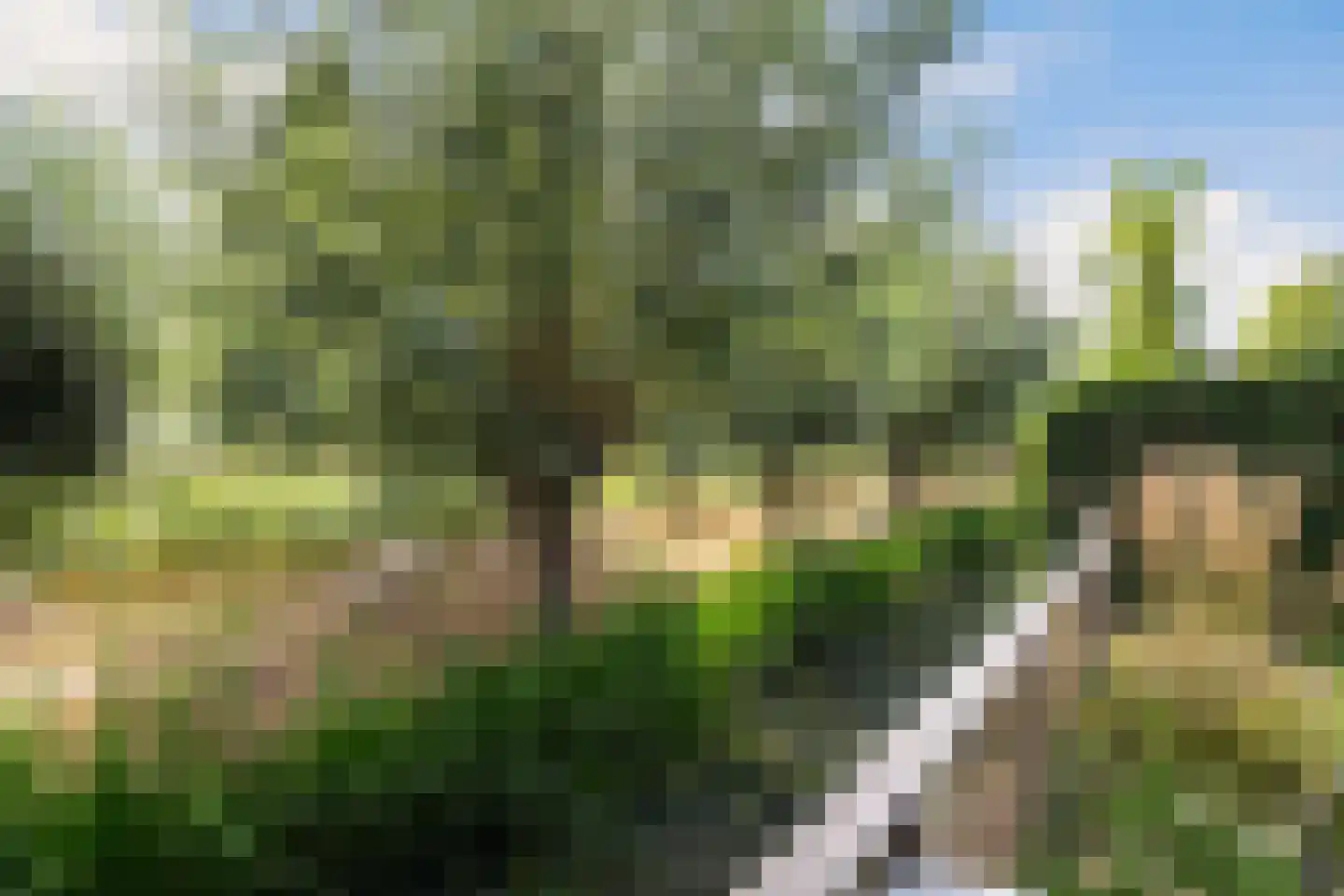 Laan van Klapwijk 15 Pijnacker thumbnail 56