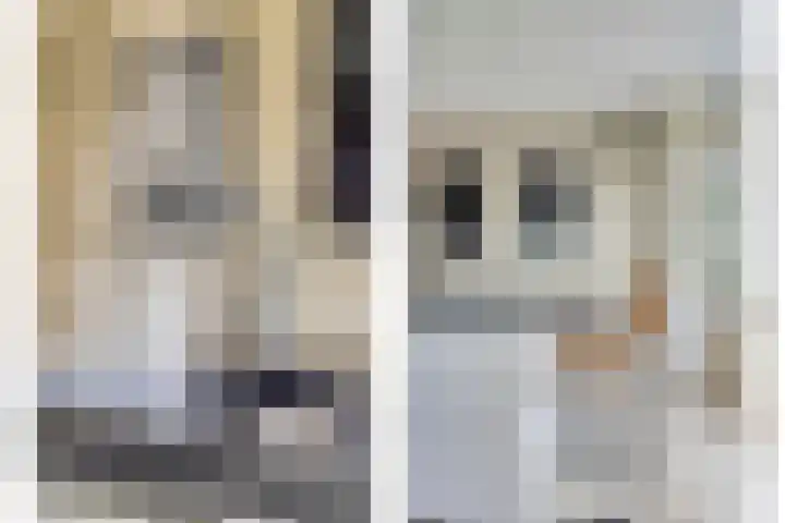 Laan van Klapwijk 23 Pijnacker thumbnail 17