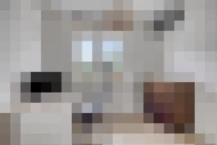 Laan van Klapwijk 23 Pijnacker thumbnail 24