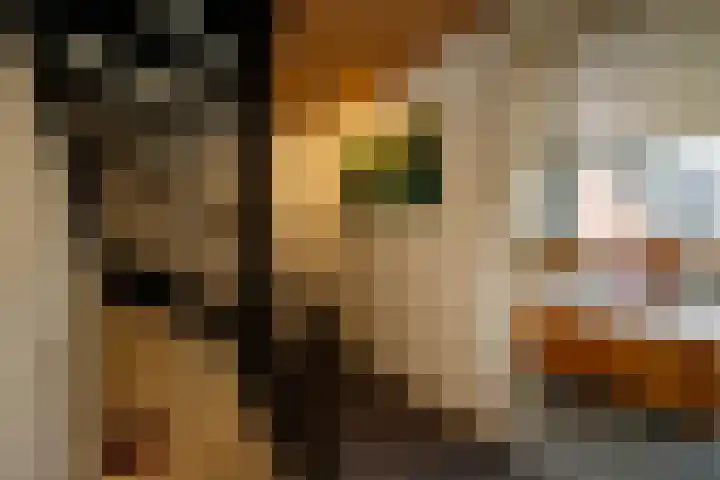 Laan van Klapwijk 23 Pijnacker thumbnail 36