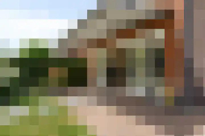 Laan van Klapwijk 23 Pijnacker thumbnail 38