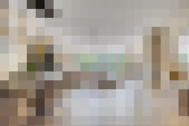 Laan van Klapwijk 23 Pijnacker thumbnail 4
