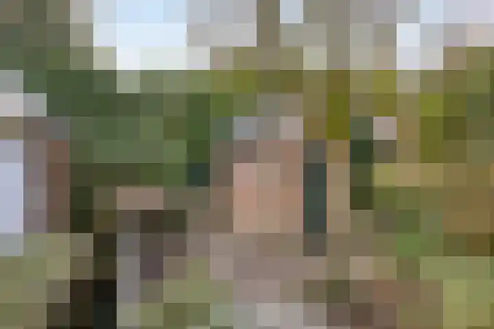 Laan van Klarenbeek 50 Arnhem thumbnail 26