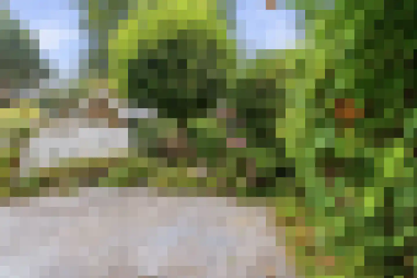 Laan van Klarenbeek 50 Arnhem thumbnail 31