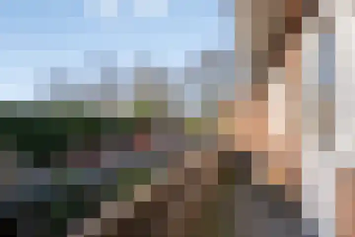 Laan van Klarenbeek 50 Arnhem thumbnail 32