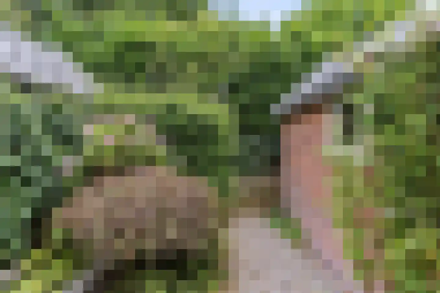 Laan van Klarenbeek 50 Arnhem thumbnail 33
