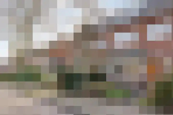 Laan van Klarenbeek 50 Arnhem thumbnail 4