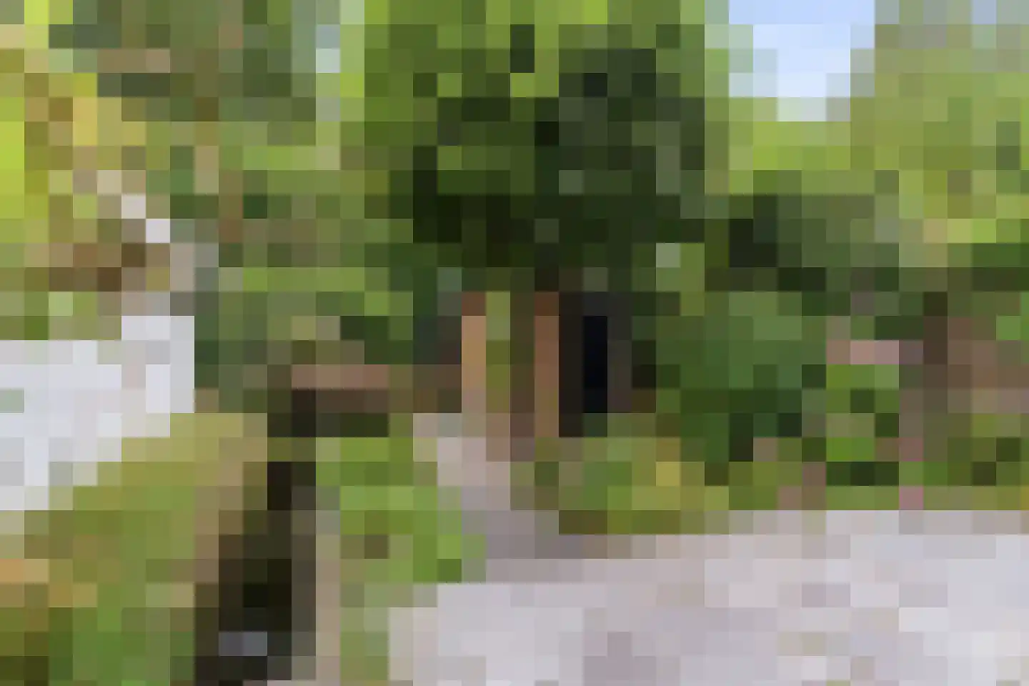 Laan van Klarenbeek 50 Arnhem thumbnail 5