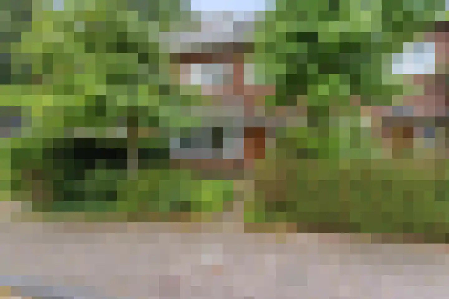 Laan van Klarenbeek 50 Arnhem thumbnail 6