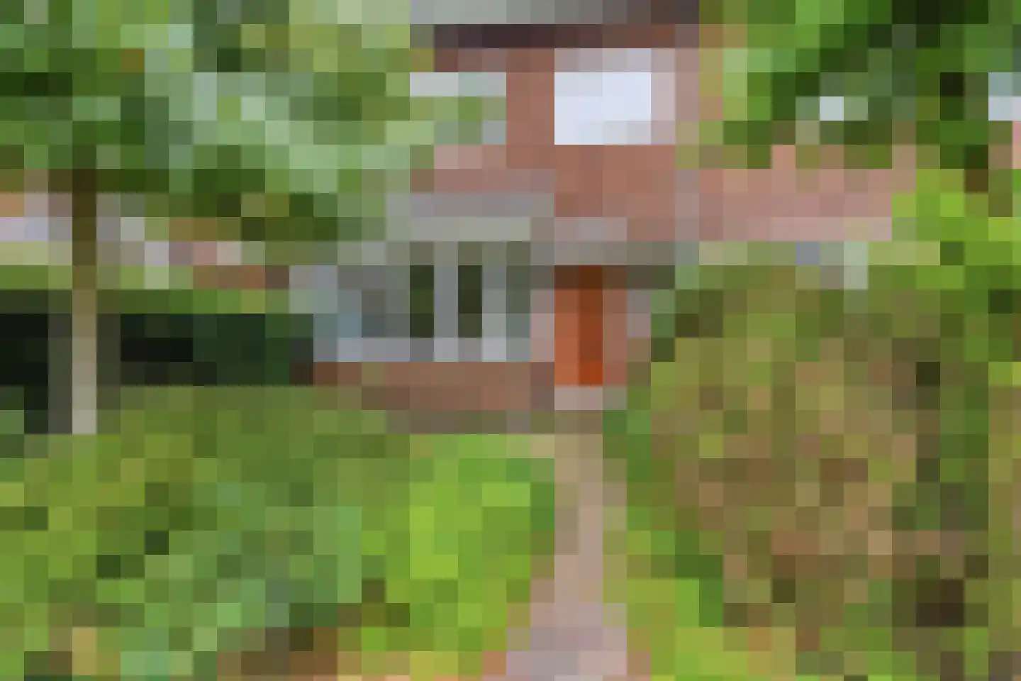 Laan van Klarenbeek 50 Arnhem thumbnail 8