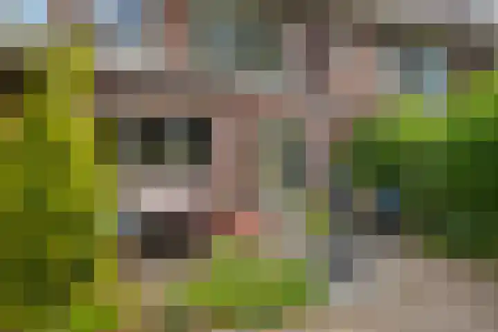Laan van Klarenbeek 66 Arnhem thumbnail 34