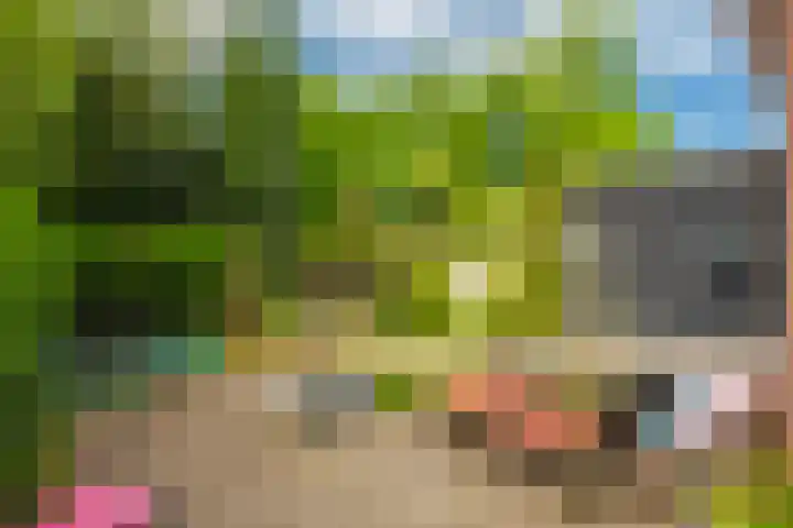 Laan van Klarenbeek 66 Arnhem thumbnail 35