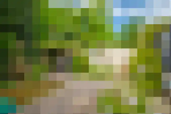 Laan van Klarenbeek 66 Arnhem thumbnail 37
