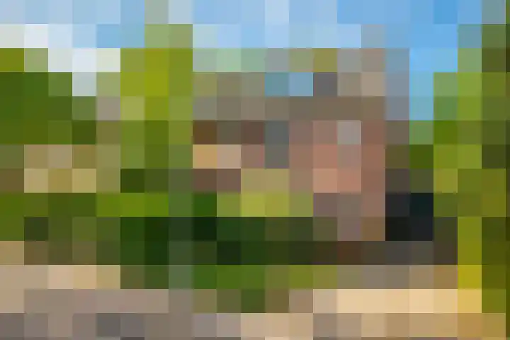 Laan van Klarenbeek 66 Arnhem thumbnail 6