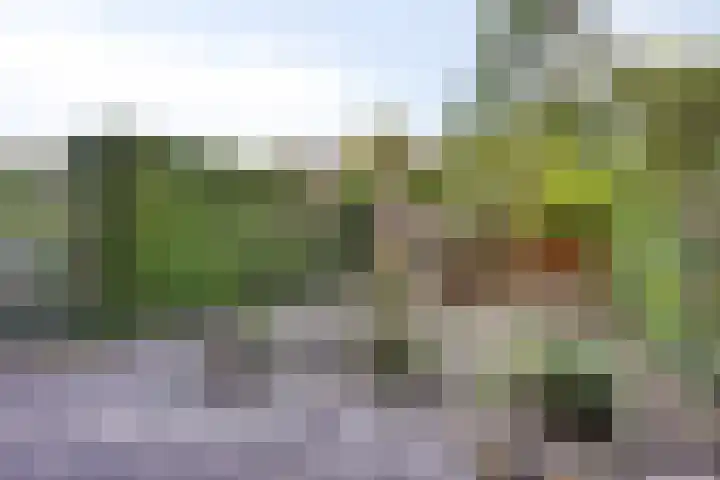 Laan van Klarenbeek 87 Arnhem thumbnail 16