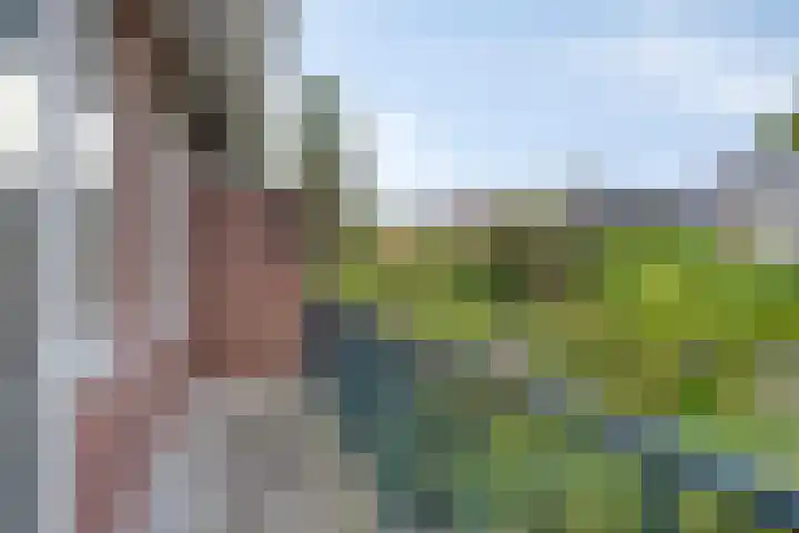 Laan van Klarenbeek 87 Arnhem thumbnail 27