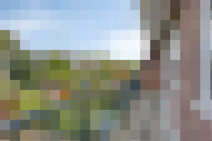 Laan van Klarenbeek 87 Arnhem thumbnail 28